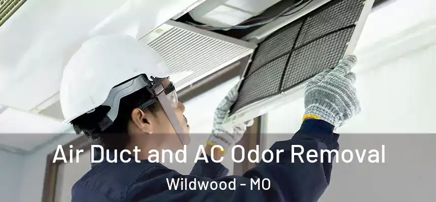 Air Duct and AC Odor Removal Wildwood - MO