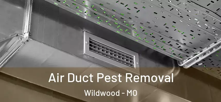Air Duct Pest Removal Wildwood - MO