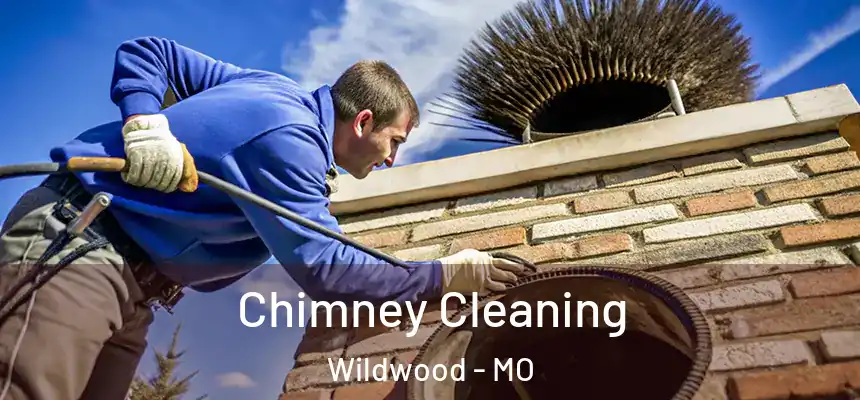  Chimney Cleaning Wildwood - MO