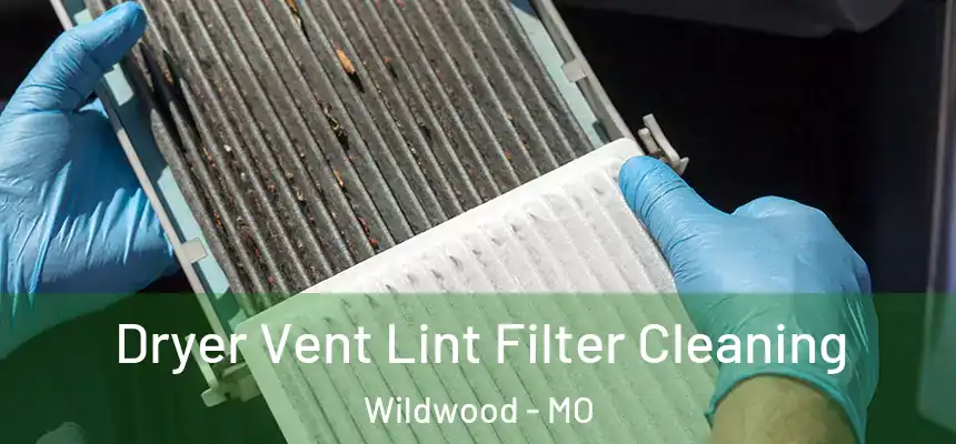  Dryer Vent Lint Filter Cleaning Wildwood - MO