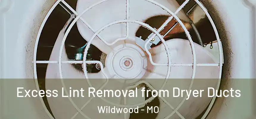 Excess Lint Removal from Dryer Ducts Wildwood - MO