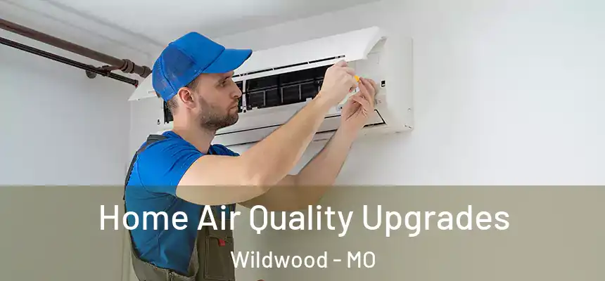  Home Air Quality Upgrades Wildwood - MO