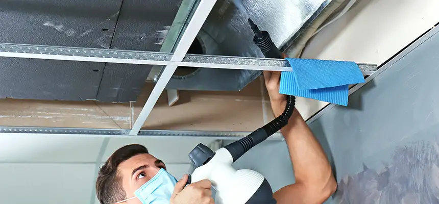 Our Air Duct Rodent Removal Services in Wildwood, MO