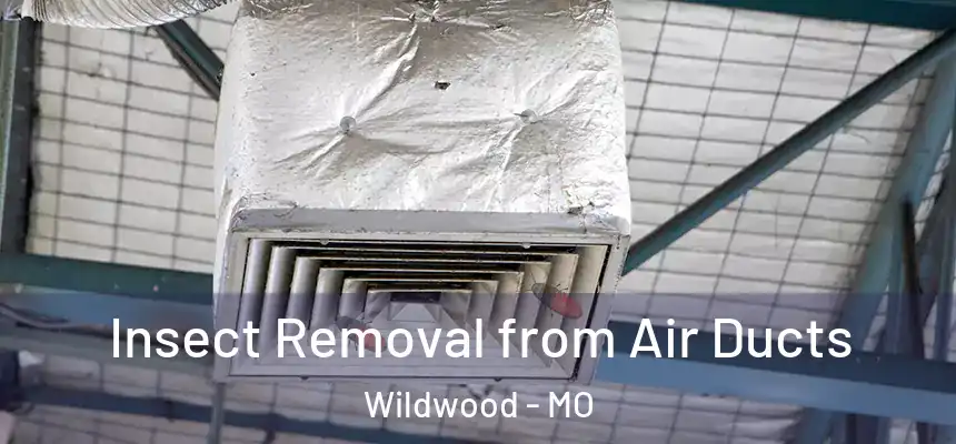  Insect Removal from Air Ducts Wildwood - MO