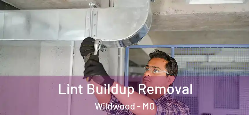  Lint Buildup Removal Wildwood - MO