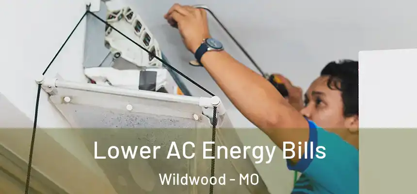  Lower AC Energy Bills Wildwood - MO