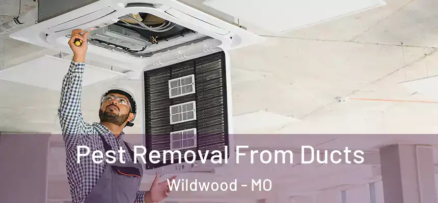  Pest Removal From Ducts Wildwood - MO