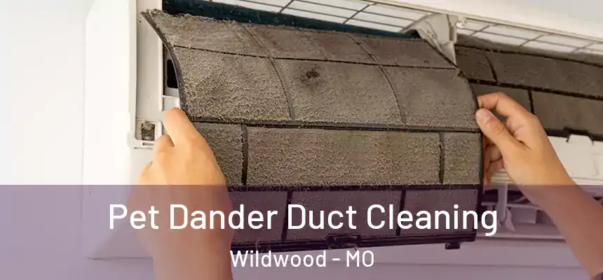  Pet Dander Duct Cleaning Wildwood - MO