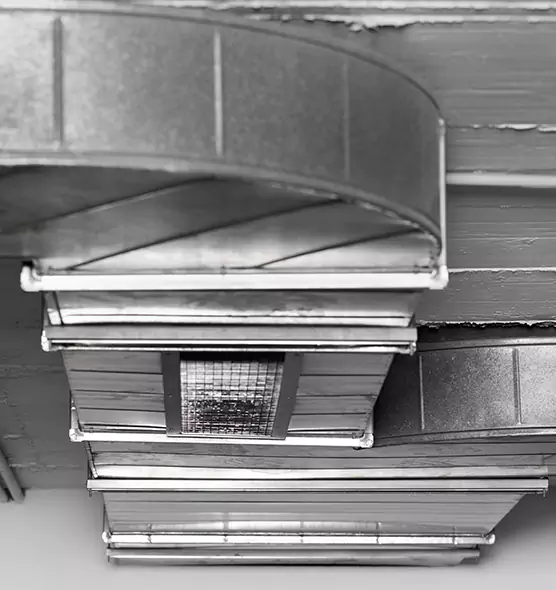 Professional Air Duct Pest Removal in Wildwood, MO