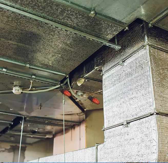 Why Homeowners & Businesses Trust Us in Wildwood, MO?