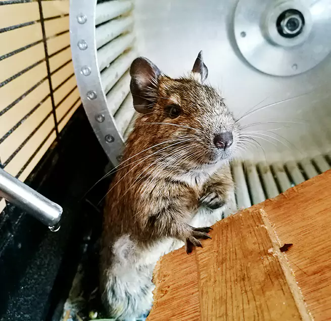 Why Homeowners & Businesses Trust Us Wildwood, MO