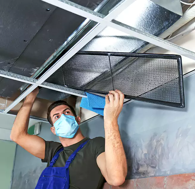 Why Homeowners Businesses Trust Us in Wildwood, MO