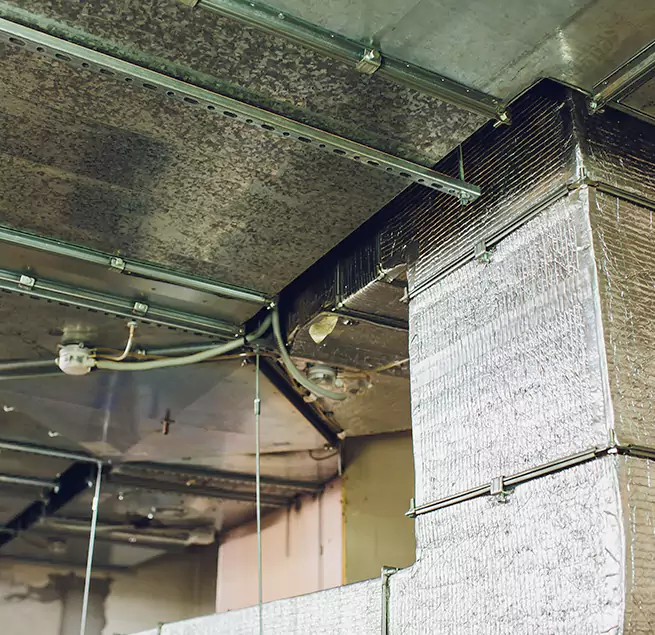 Why Homeowners & Businesses Trust Us in Wildwood, MO?