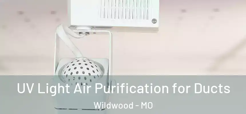  UV Light Air Purification for Ducts Wildwood - MO